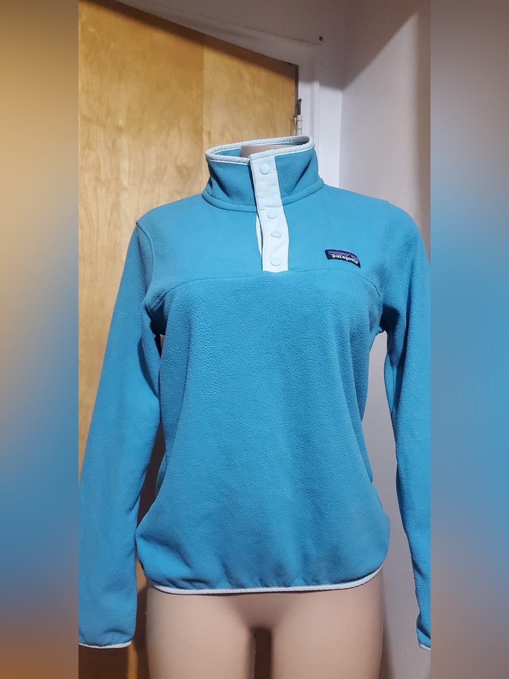 Patagonia Sky Blue Snap-T Fleece Pullover